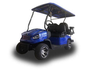 golf cart repair service, cape coral cart repair pickup, golf cart inspection